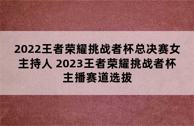 2022王者荣耀挑战者杯总决赛女主持人 2023王者荣耀挑战者杯主播赛道选拔